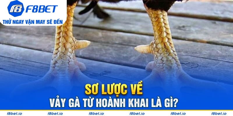 Vảy gà tứ hoành khai là gì?
