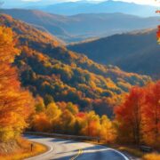 Colorful fall foliage along a picturesque road.