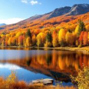 Colorful autumn landscape with trees and a serene lake.