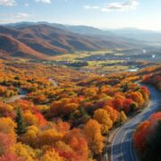 Colorful autumn trees lining a scenic road.